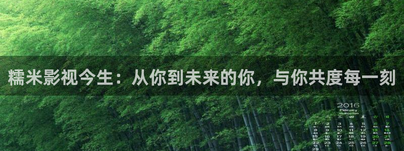 秋霞电影网站在线免费观看